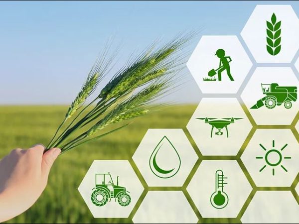 Agricultural Marketing Infrastructure sub scheme of ISAM (AMI)