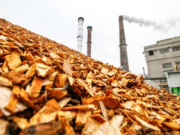 Biomass (Non-Bagasse) Based Cogeneration projects