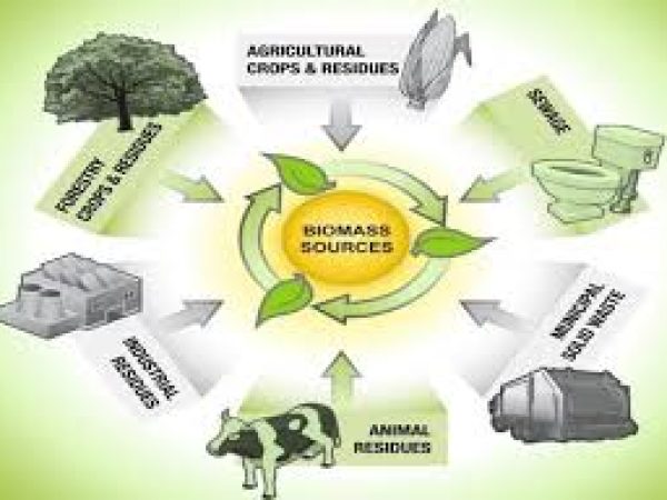 Biomass Programme