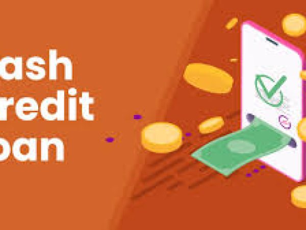 Cash credit loan