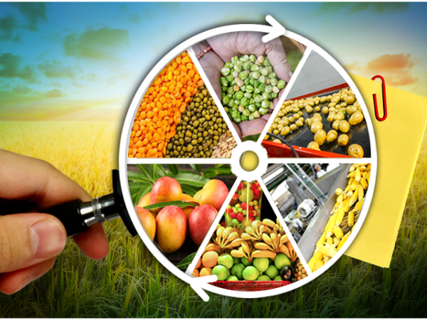 Chief Minister’s Agriculture and Food Processing Scheme