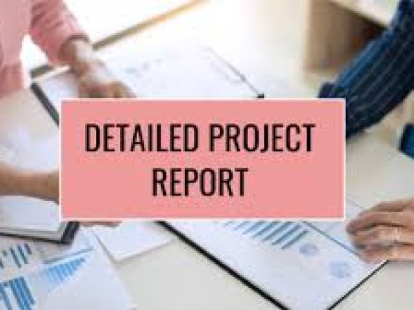 Detailed project report